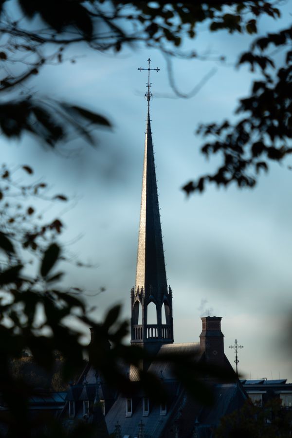Doorkijk naar de torenspits van de refter, tussen de bladeren door